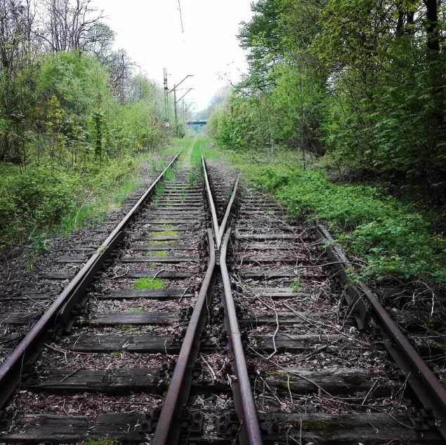 bielskobiała,bielsko,tory,pociag,linia,cieszyn,przyroda,opuszczone,fotodnia,instagram
