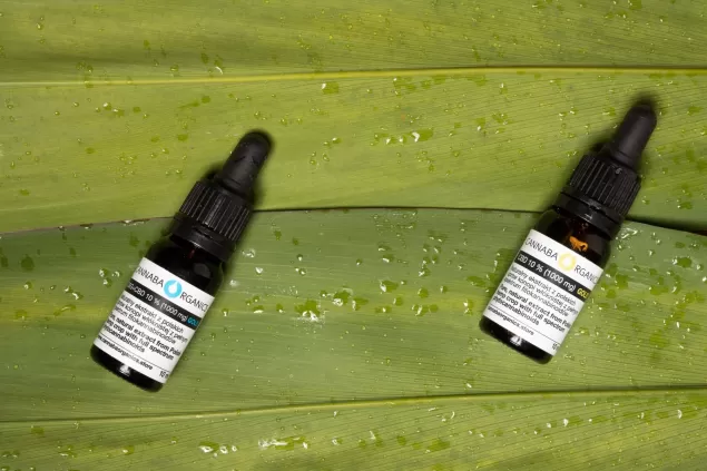 cbd dla psow jak pomaga w lagodzeniu leku stresu i zaburzen zachowania