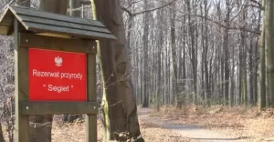 Do którego rezerwatu na spacer? Odpowie na to specjalna baza
