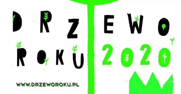 plakat, drzewo roku