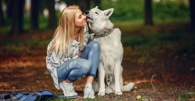 petsitter bielsko-biala pethomer