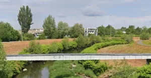 Biała