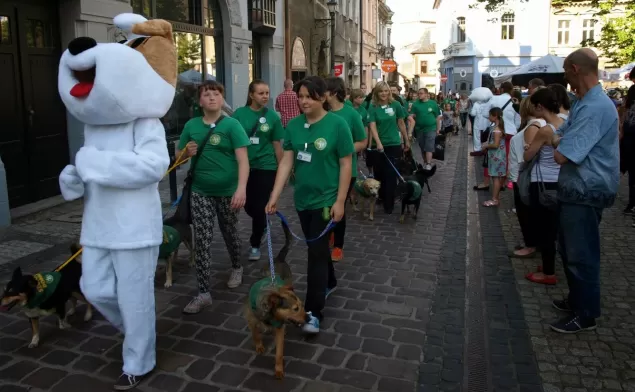 parada psów schroniskowych