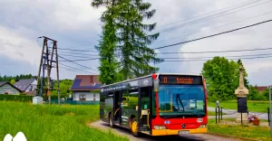 Linia autobusowa D