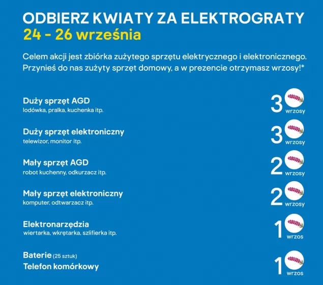 Bielsko Info Trwa Akcja Kwiaty Za Elektrograty W Castoramie Bielsko Biala