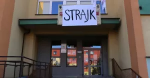 strajk, znp, nauczyciele