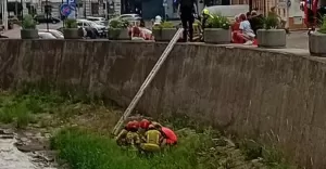42-letnia kobieta spadła z murku przy placu Ratuszowym. Interweniowały wszystkie służby