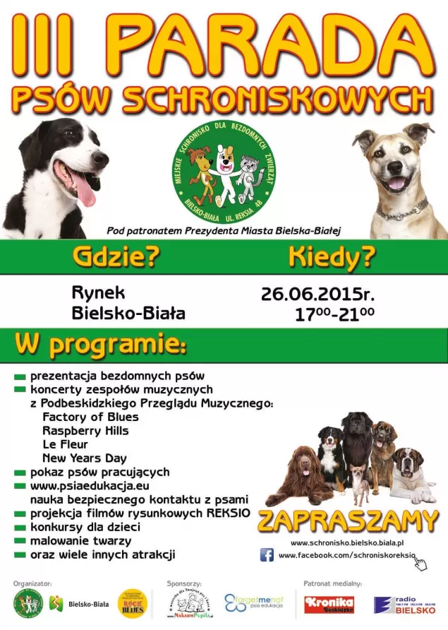 parada psów schroniskowych
