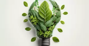 zielona energia