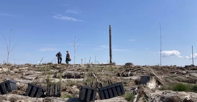 Klub Gaja sadzi drzewa owocowe