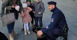 Policyjny pies Cezar pomógł odnaleźć zaginionego 84-latka z Bielska-Białej