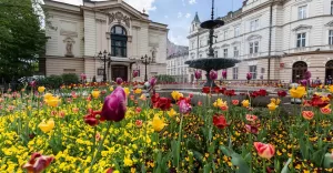 Tysiące kwiatów i drzewek zdobią bielskie ulice