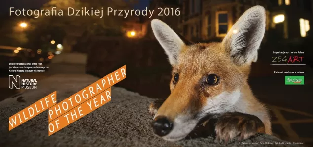 Fotografia dzikiej przyrody - wystawa w Galerii BW