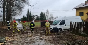 Interwencja strażaków przy ul. Zdrojowej w Rudzicy - 17.02.2022