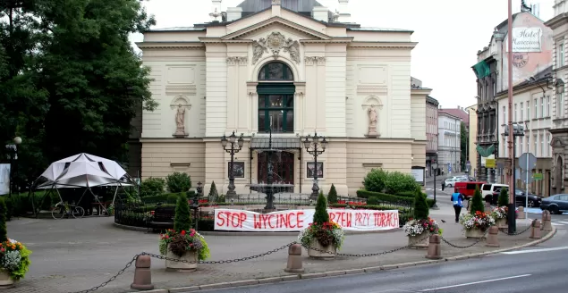 teatr polski, wycinka drzew