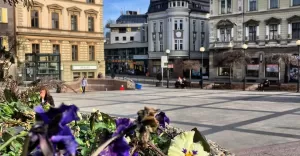 bielskobiala,bielsko,placchrobrego,kwiaty,ilovebb,fotodnia,instagram