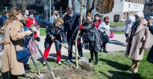 Z okazji rocznicy Kongresu Kobiet Podbeskidzia powstał "Ogród Pereł"