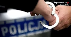 Wsiadła za kółko mimo zakazów. Był to początek jej problemów...