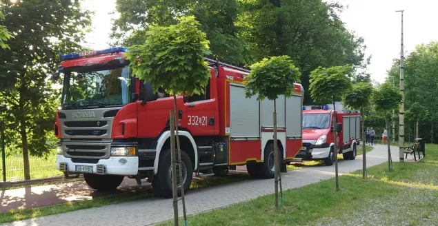 Akcja straży pożarnej w Wapienicy - 16.06.2021