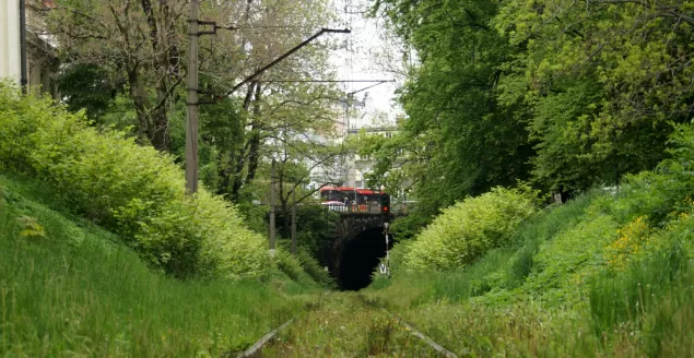 drzewa, tory, pociąg, tunel