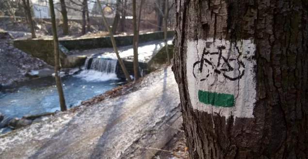 Dolina rzeki Wapienica