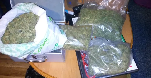 Zabezpieczona przez policję marihuana