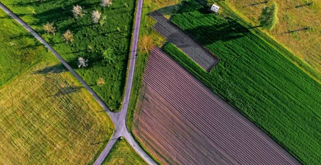 Numer działki. Gdzie go znaleźć?