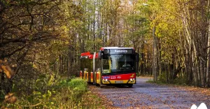 1 listopada autobusami będzie można jeździć bezpłatnie