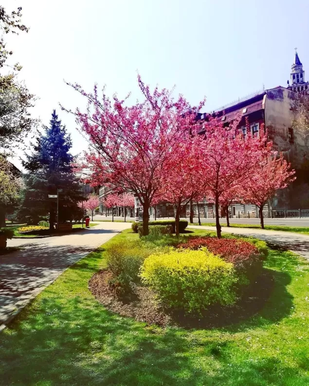 PocztowkazBielska,bielskobiała,bielsko,bielskobiala,wiosna2020,podbeskidzie,lovebb,fotodnia,instag