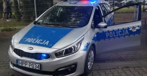 policja, policjant, radiowóz, droga