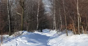 szlak, góry, beskidy