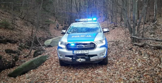 Policyjny pościg za motocrossowcami w lesie. Grozi im nawet 5 lat