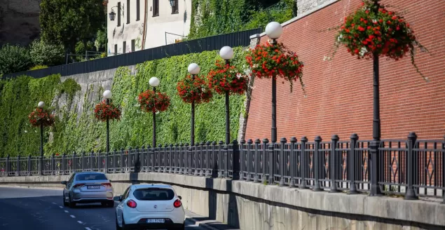 Rozpoczyna się głosowanie w konkursie "Terra Flower Power"